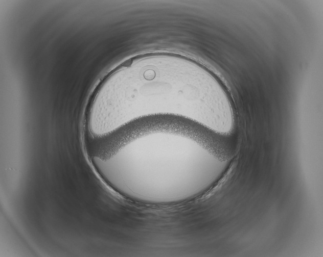 X0000108481525200905151213