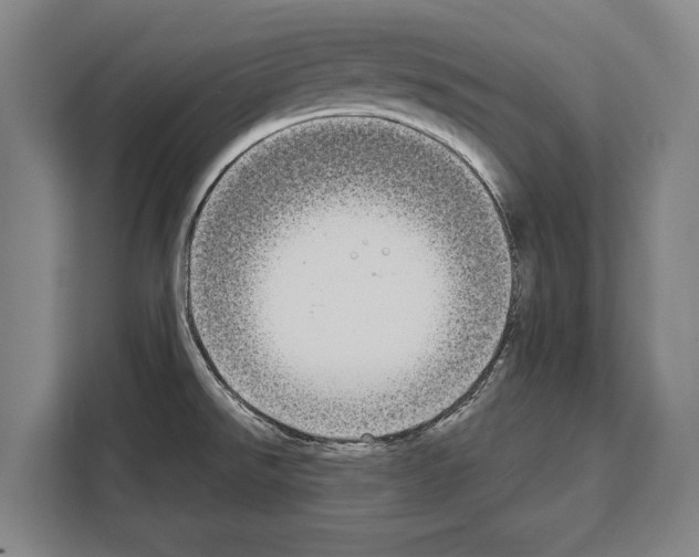X0000108481526200905151213