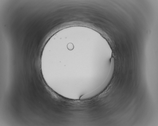X0000108481527200905151213