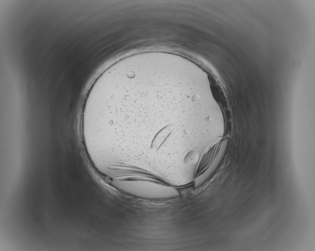 X0000108481528200905151213