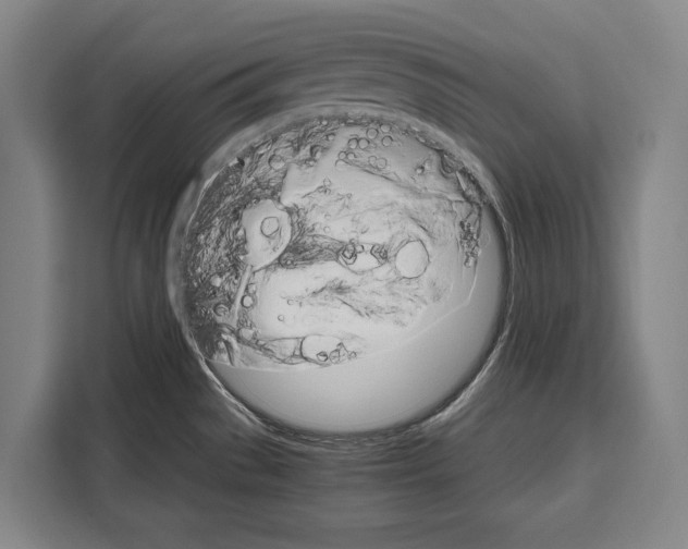 X0000108481529200905151213