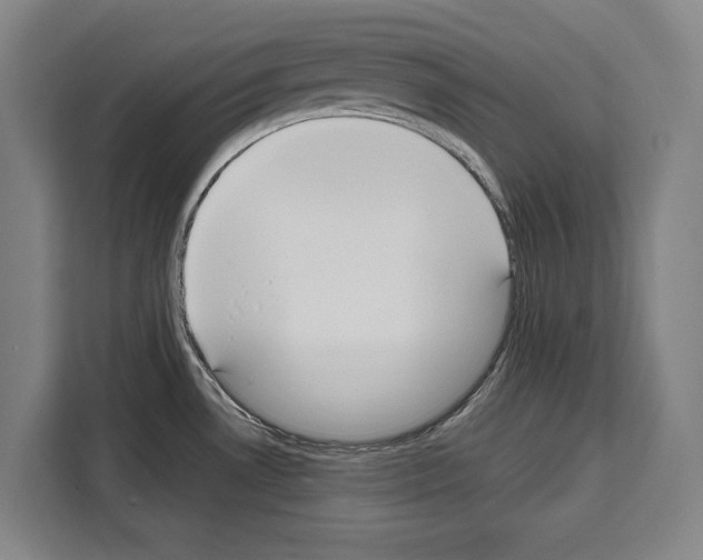 X0000108481530200905151213