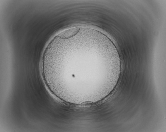 X0000108481531200905151213