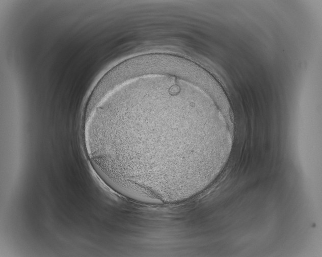 X0000108481532200905151213