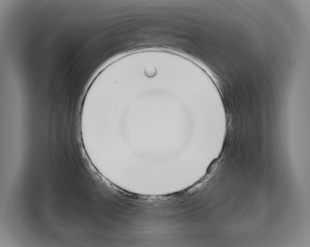 X0000108481534200905151213