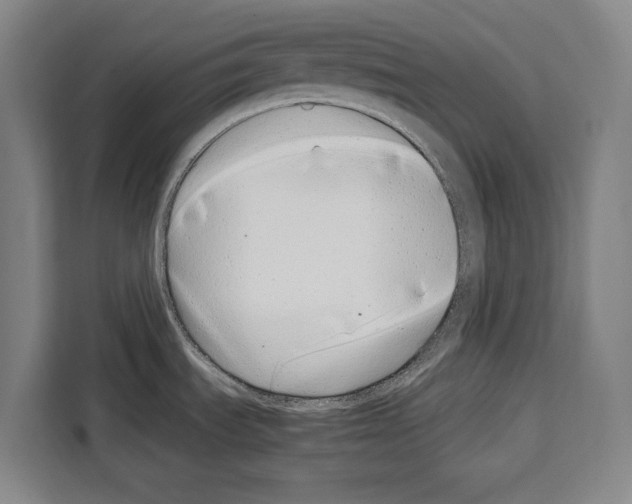 X0000108481535200905151213