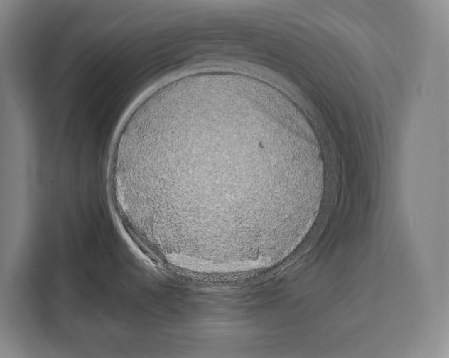 X0000108481536200905151213