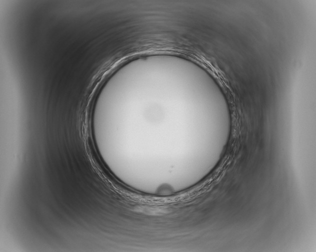 X0000110320002200905211215