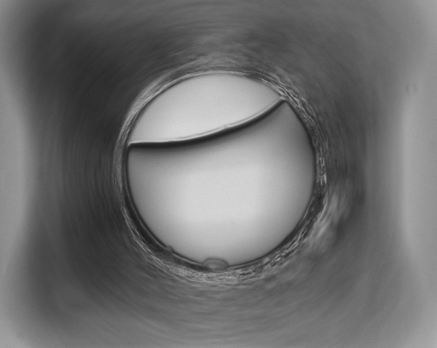 X0000110320004200905211215