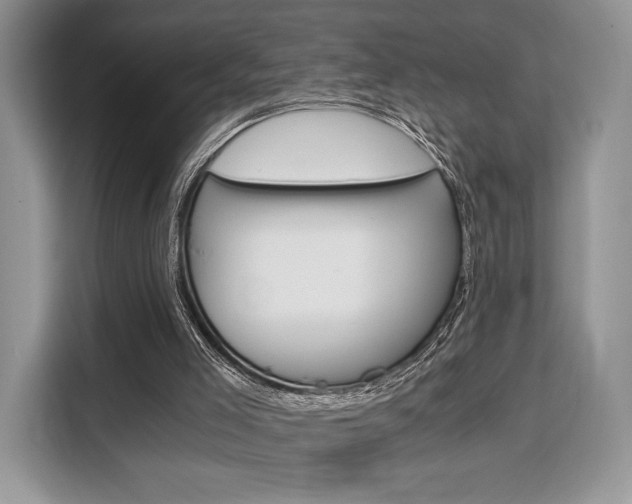 X0000110320005200905211215