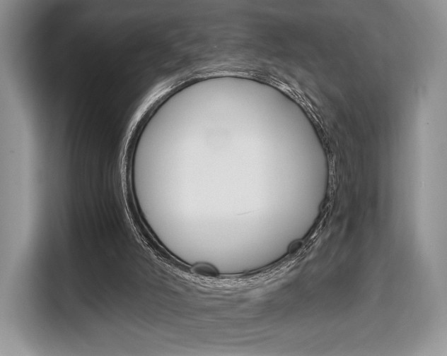 X0000110320006200905211215