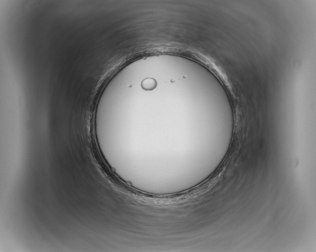 X0000110320010200905211215