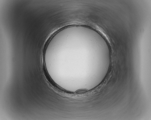 X0000110320011200905211215