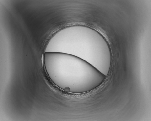 X0000110320013200905211215