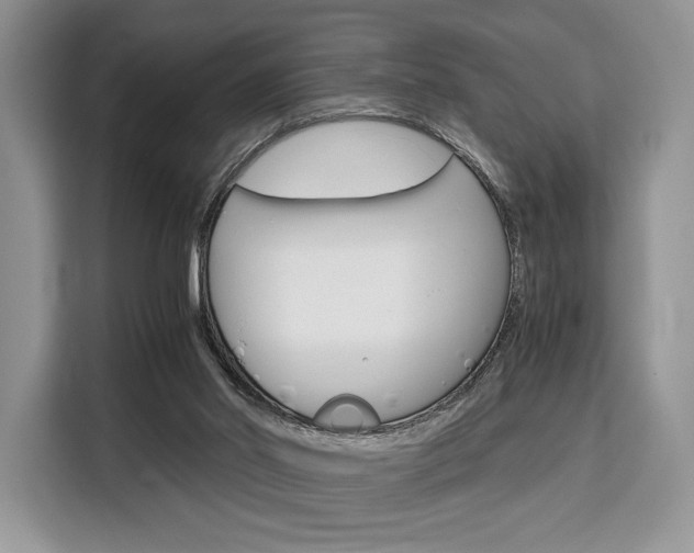 X0000110320014200905211215