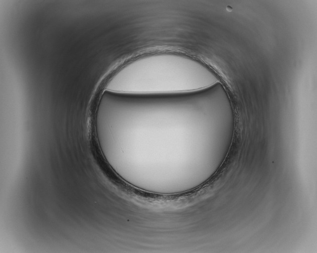 X0000110320016200905211215