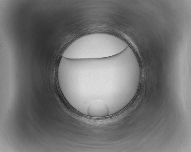 X0000110320018200905211215