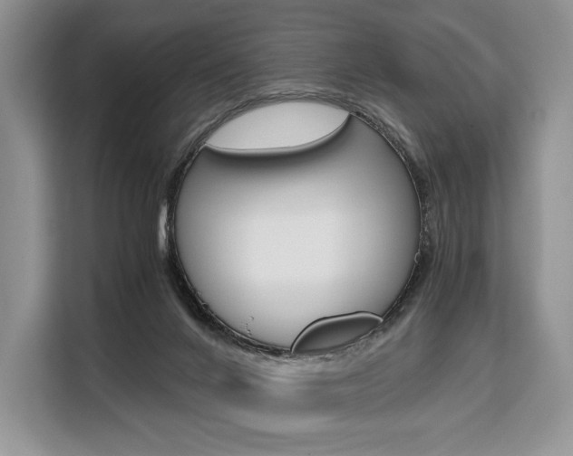X0000110320024200905211215