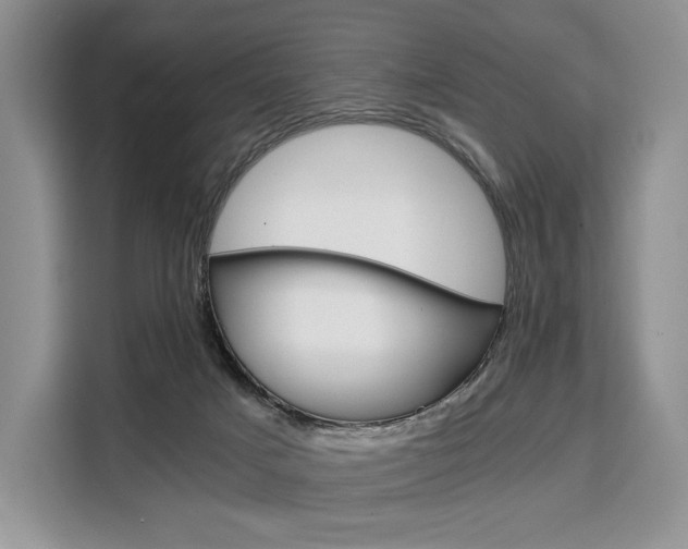 X0000110320025200905211215