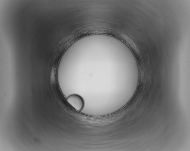 X0000110320026200905211215