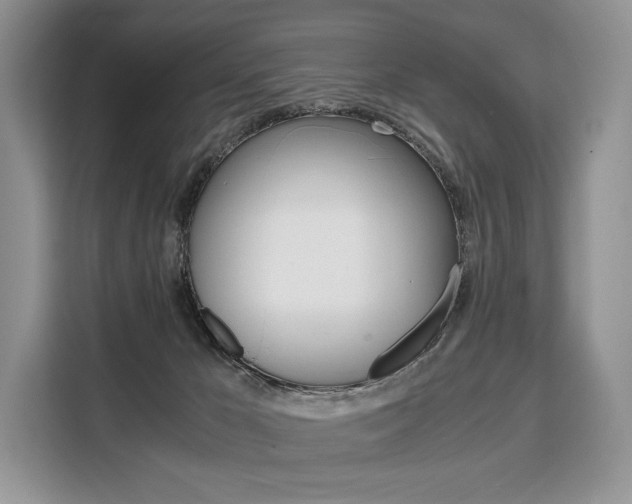 X0000110320029200905211215