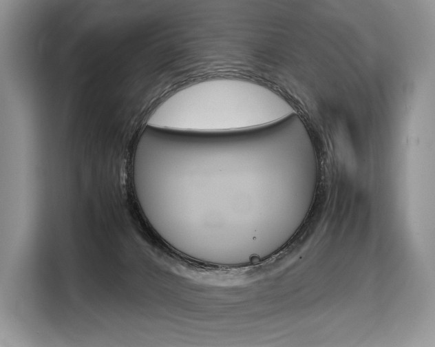 X0000110320032200905211214