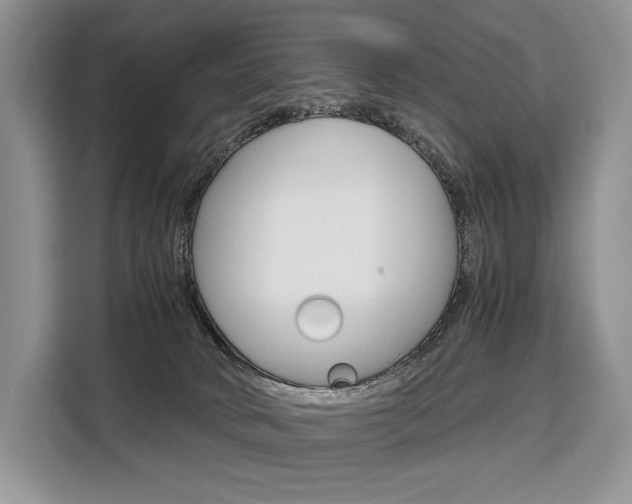 X0000110320034200905211214