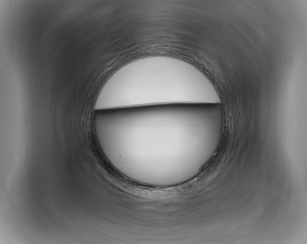 X0000110320036200905211214