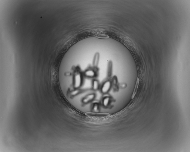X0000110320037200905211214