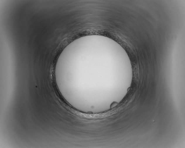 X0000110320038200905211214