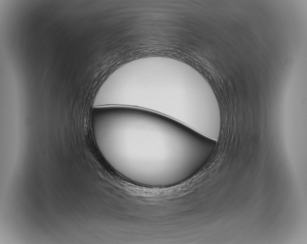X0000110320039200905211214