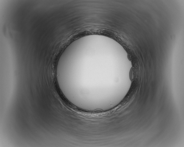 X0000110320040200905211214