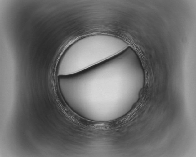 X0000110320050200905211214