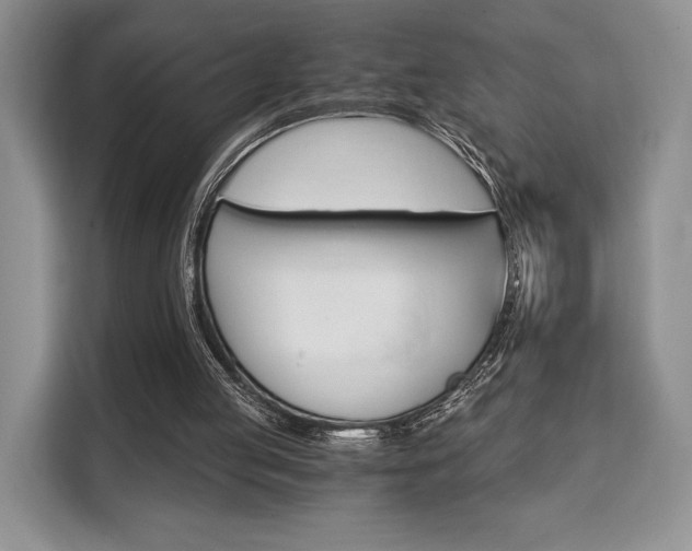 X0000110320053200905211214