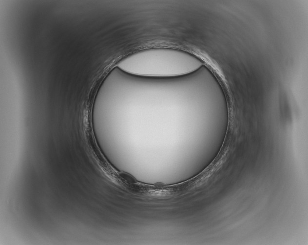 X0000110320057200905211214
