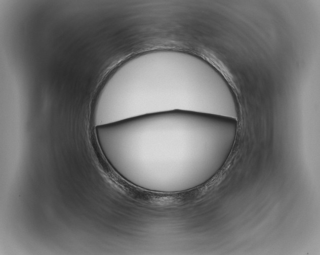 X0000110320058200905211214