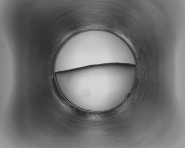 X0000110320062200905211214