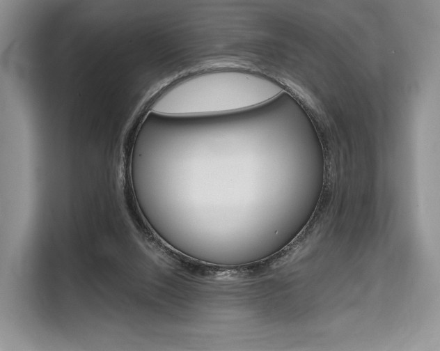X0000110320064200905211214