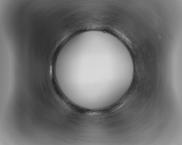 X0000110320067200905211214