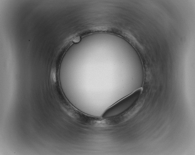 X0000110320068200905211214
