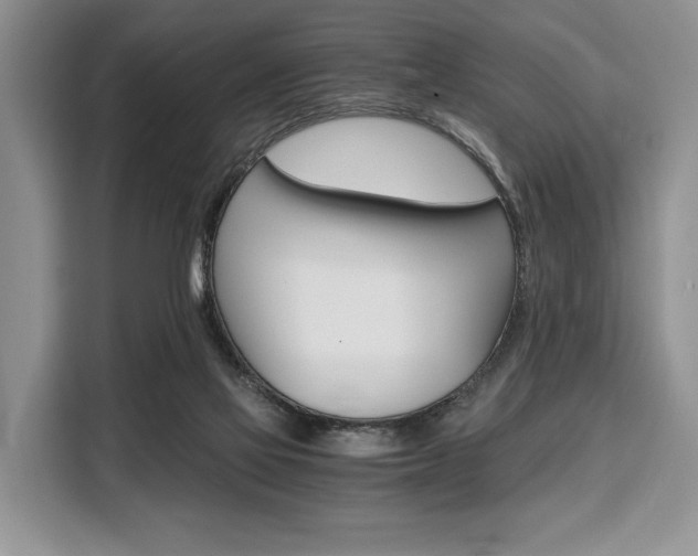 X0000110320069200905211214