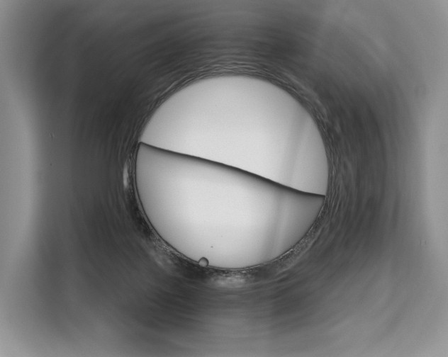X0000110320075200905211214