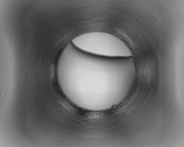 X0000110320077200905211214