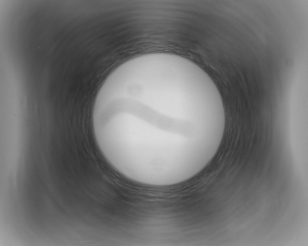 X0000110320080200905211214