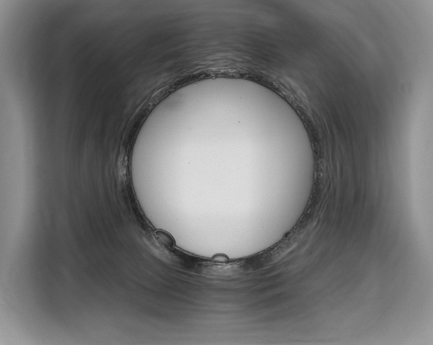 X0000110320081200905211214
