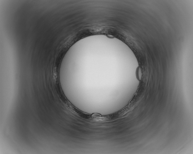 X0000110320085200905211214