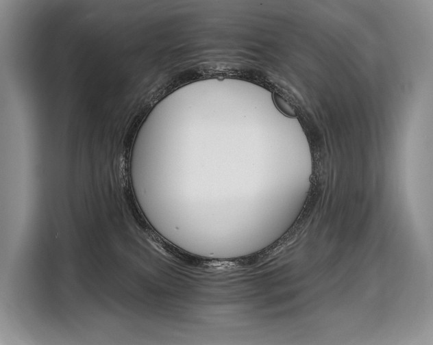 X0000110320087200905211214
