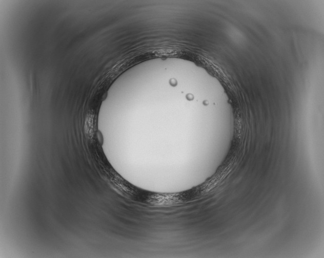 X0000110320093200905211214