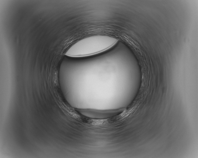 X0000110320096200905211214