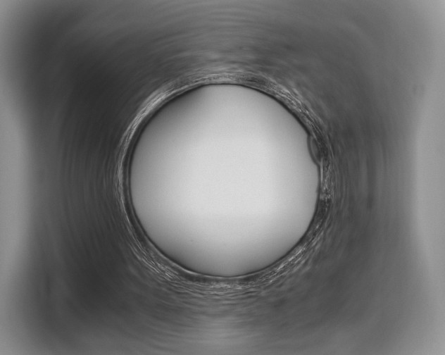 X0000110320099200905211214